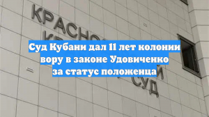 Суд Кубани дал 11 лет колонии вору в законе Удовиченко за статус положенца