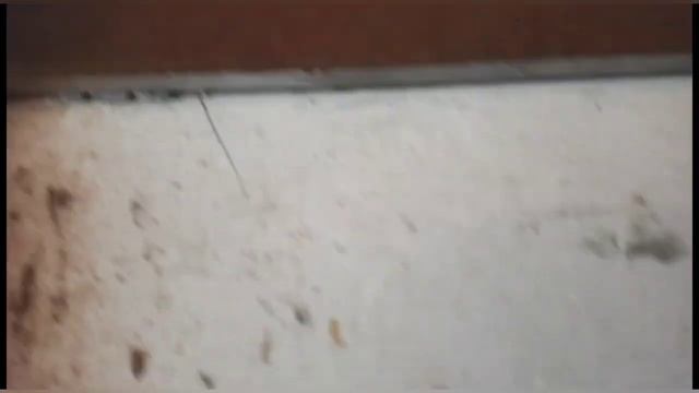 ГАРАЖНЫЕ ВОРОТА