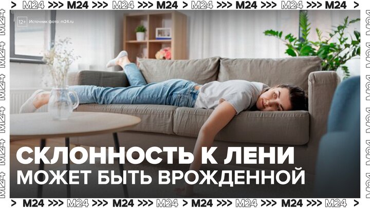 Ученые выяснили, что склонность к лени и прокрастинации может быть врожденной - Москва 24 смотреть онлайн