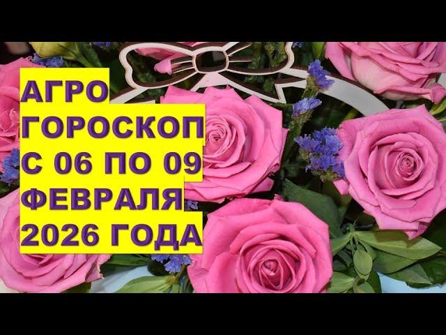 Что Посеять и Посадить с 06 по 08 февраля 2026 года?! смотреть онлайн