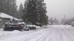 ❄️❄️❄️ ЭКСТРЕМАЛЬНАЯ СНЕЖНАЯ БУРЯ в Канаде! Центр Ванкувера, Барнаби, Кокитлам.