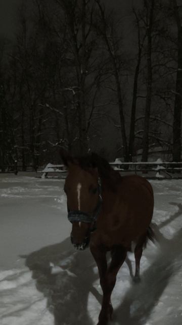 Эмбер Грейс Кас идет позировать своим подписчикам.
