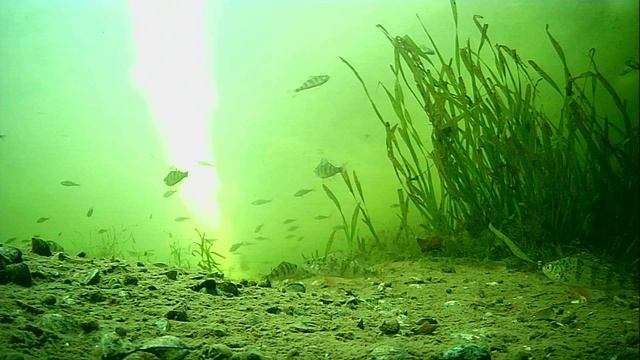 1000008741.mp4Волга гл.2м.04.02.2026г.