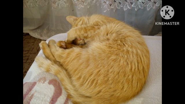 Рыжий месяц смотреть онлайн