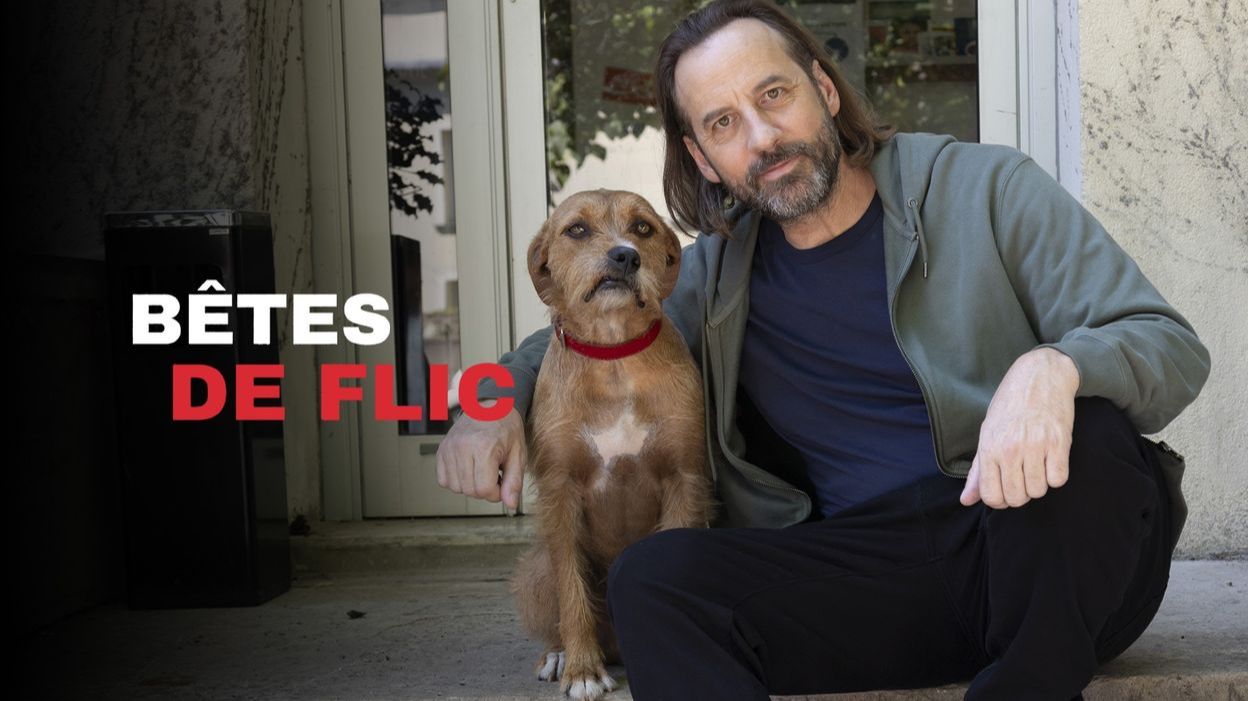 Зверский коп (2026) / Bêtes de Flic смотреть онлайн