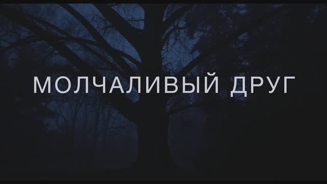 Молчаливый друг