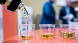 В 2025 году Россия экспортировала почти 1,6 млн т рапсового масла