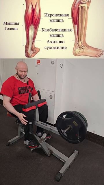 Как накачать икры без проблем