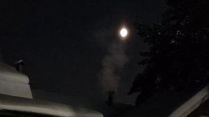 ДОБРОЕ УТРО ВСЕМ, НАТАША ПРЕДЪЯВИЛА ПРИТЕНЗИИ, Я В ДОГУ НЕ ОСТАЛСЯ, РУТУБ НЕ ВСЁ ПРОПУСКАЕТ КУЛЬТУРА