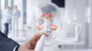 Анонсы и рекламный блок (Polsat Comedy Central Extra HD (Польша), 04.02.2026) наоборот