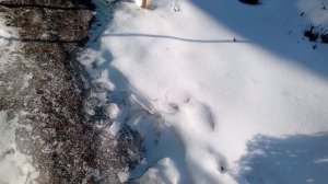 Гололёд...Ледоходы достала!