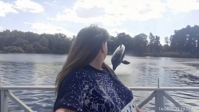 7fe28aff01bc11f1b055dabbabd113be.mp4