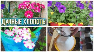 Посев ПЕТУНИИ 🌺 в снег ❄️