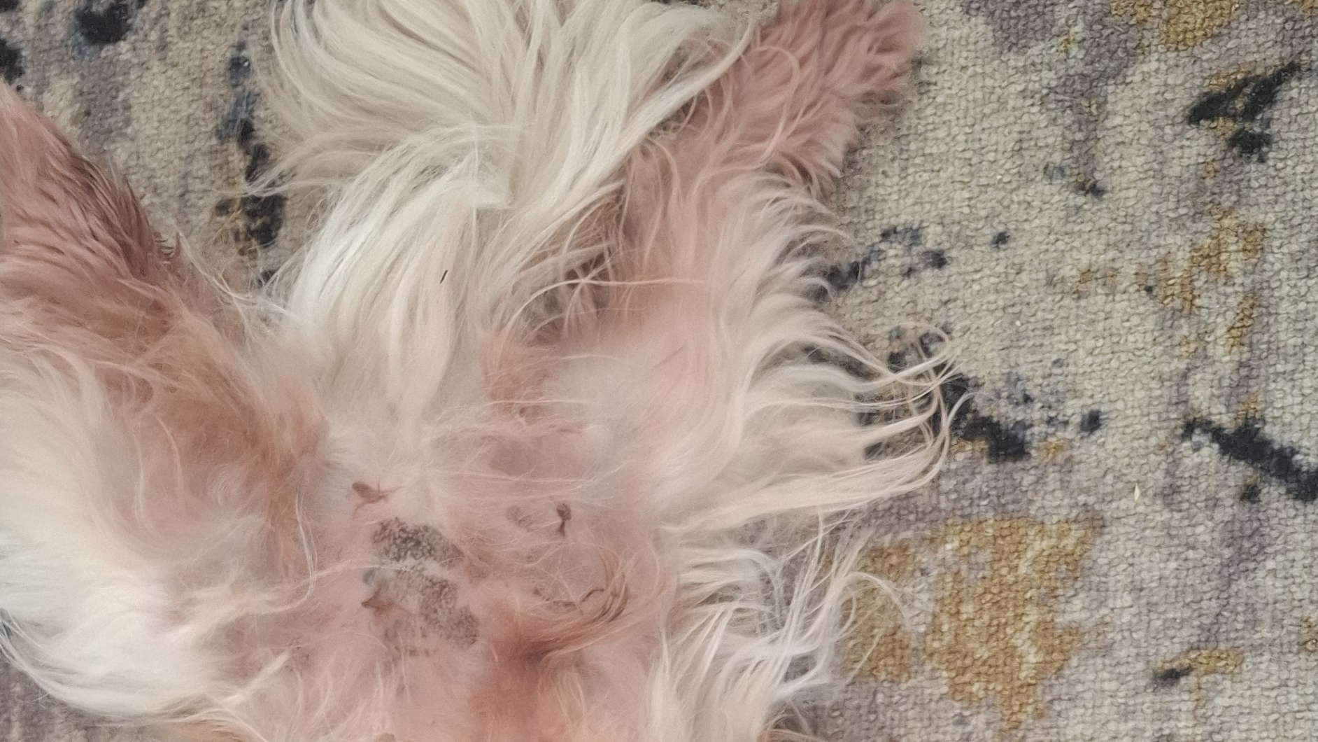 «Нервы лечим растяжкой, а итог всё тот же» «Нервы лечим растяжкой, а итог всё тот же»