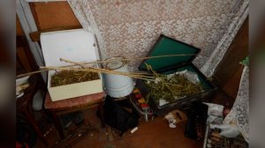 Потерпевший-подозреваемый