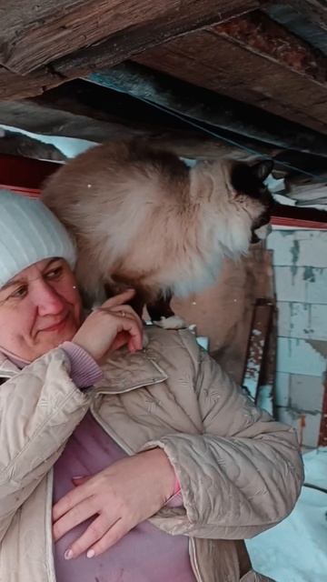 Домашний любимец.