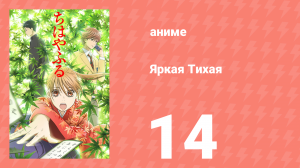 Яркая Тихая 1 сезон 14 серия (аниме-сериал, 2011)