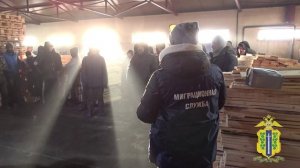 Липецкие полицейские в ходе проверки 2 лесопилок выявили 21 нарушение миграционного законодательства