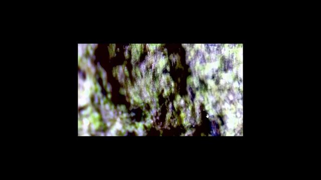 Metriks.Meteorite.Emerald_Dragon.5Din