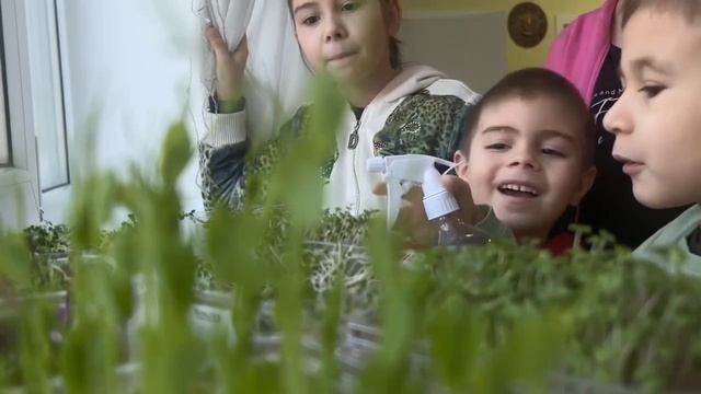 Экологический проект. 28.01.2026 смотреть онлайн