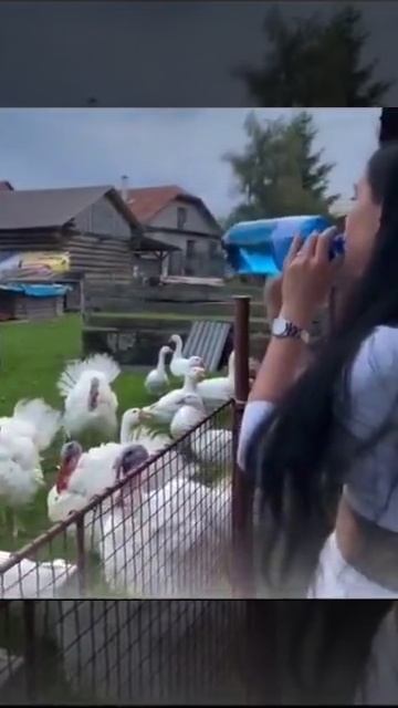 Вот и поговорили смотреть онлайн