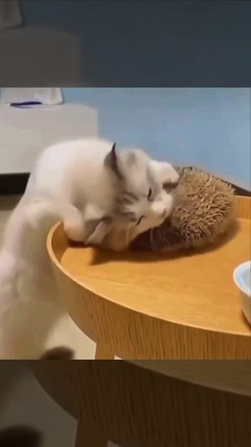 Почесушки🥰