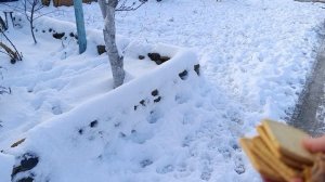 Мы печенье любим