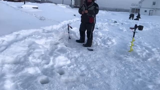 поимка форели на молька