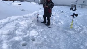 поимка форели на молька