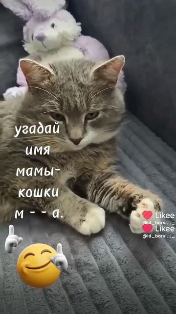 Угадай имя…..#забавныепитомцы#юмор#питомцы#животные