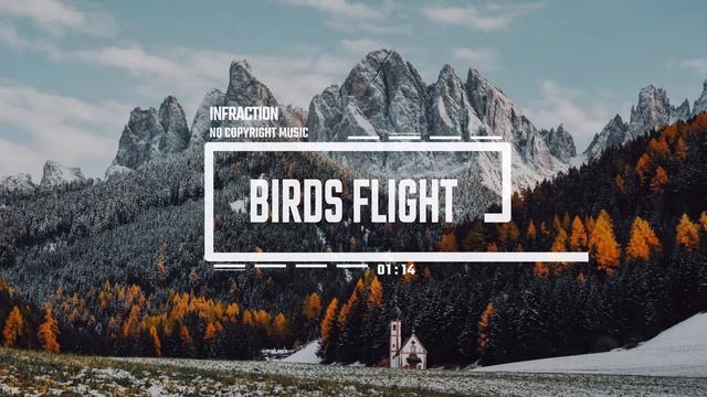 Cinematic Documentary Romantic by Infraction [No Copyright Music] ⧸ Birds Flight