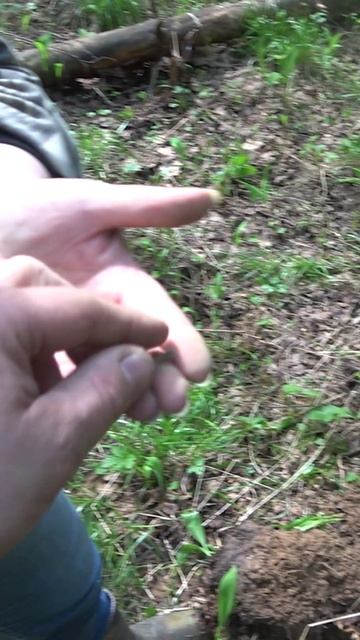 Отличная находка в лесу #shorts #находка #леснойкоп  #metaldetecting #другаяжизнь