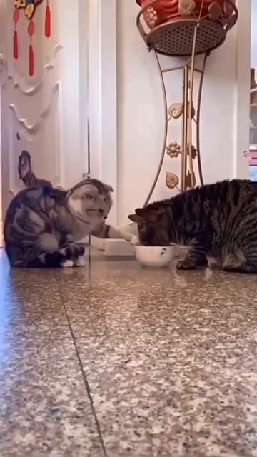 - На вот, поешь. смотреть онлайн