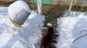 Два дня зима два дня весна качели