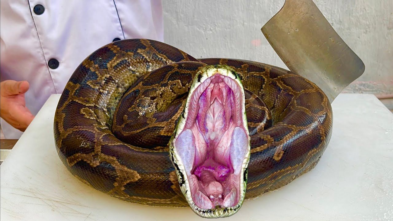 100 вкуснейших блюд из анаконды, дикобраза, буйвола, кролика лучшая кулинария смотреть онлайн