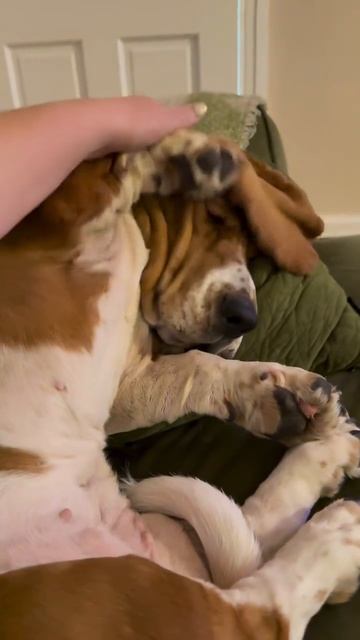 Да накройте меня😆))