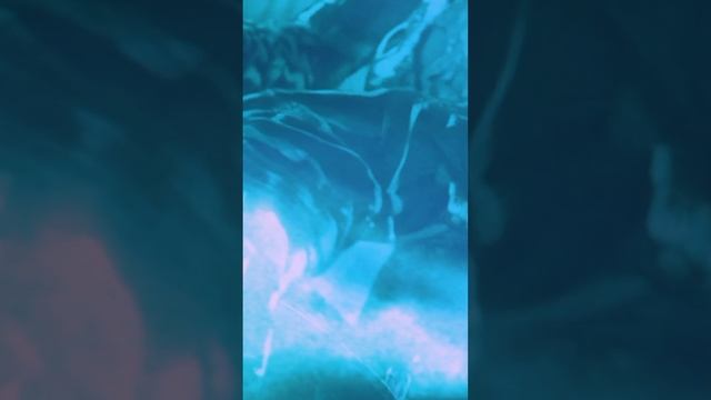 официальный клип.GugaST project-Witcher (remix) официальный клип.GugaST project-Witcher (remix)