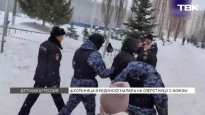 С начала недели на российские школы произошло сразу 3 нападения