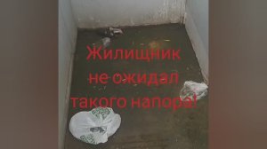 "ЖИЛИЩНИК НЕ ОЖИДАЛ ТАКОГО НАПОРА!""