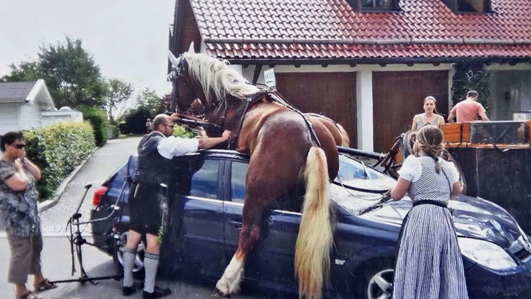 Самые Смешные Реакции на Розыгрыш смотреть онлайн