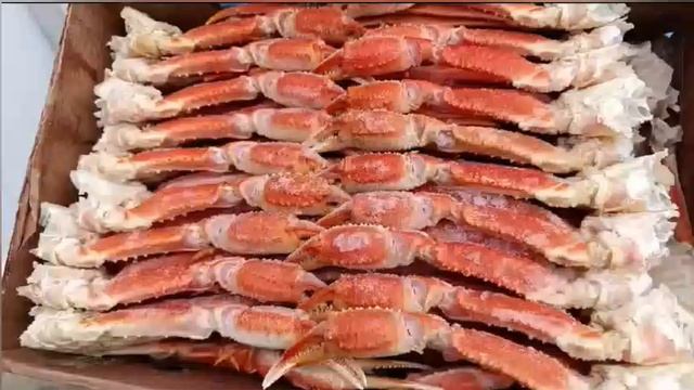 Клешни краба В/М смотреть онлайн