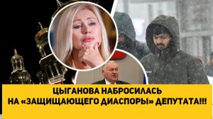 Цыганова набросилась на «защищающего диаспоры» депутата!!!