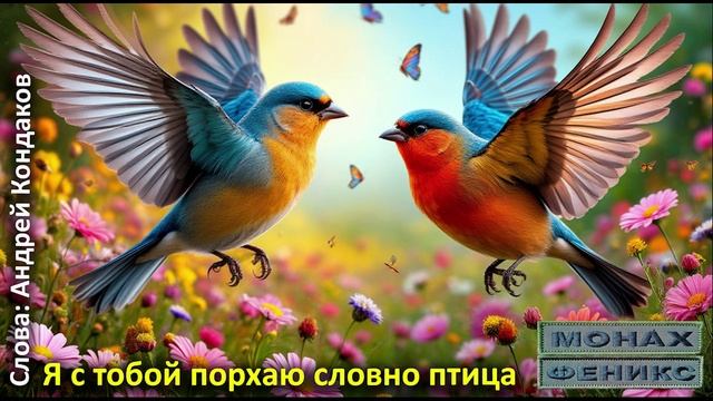 «Я с тобой порхаю словно птица» — Монах и Феникс