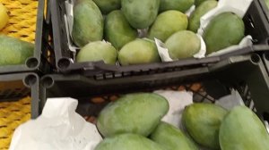 #изобилие фруктов и овощей у меня дома и в магазинах несмотря что зима