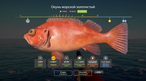 Русская Рыбалка 4-Новогодние Экстра Задания 2026: Окунь морской золотистый Норвежское море