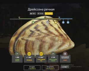 РУССКАЯ РЫБАЛКА 4 РР4 ВЬЮНОК ТРОФЕЙ ДРЕЙССЕНА РЕЧНАЯ