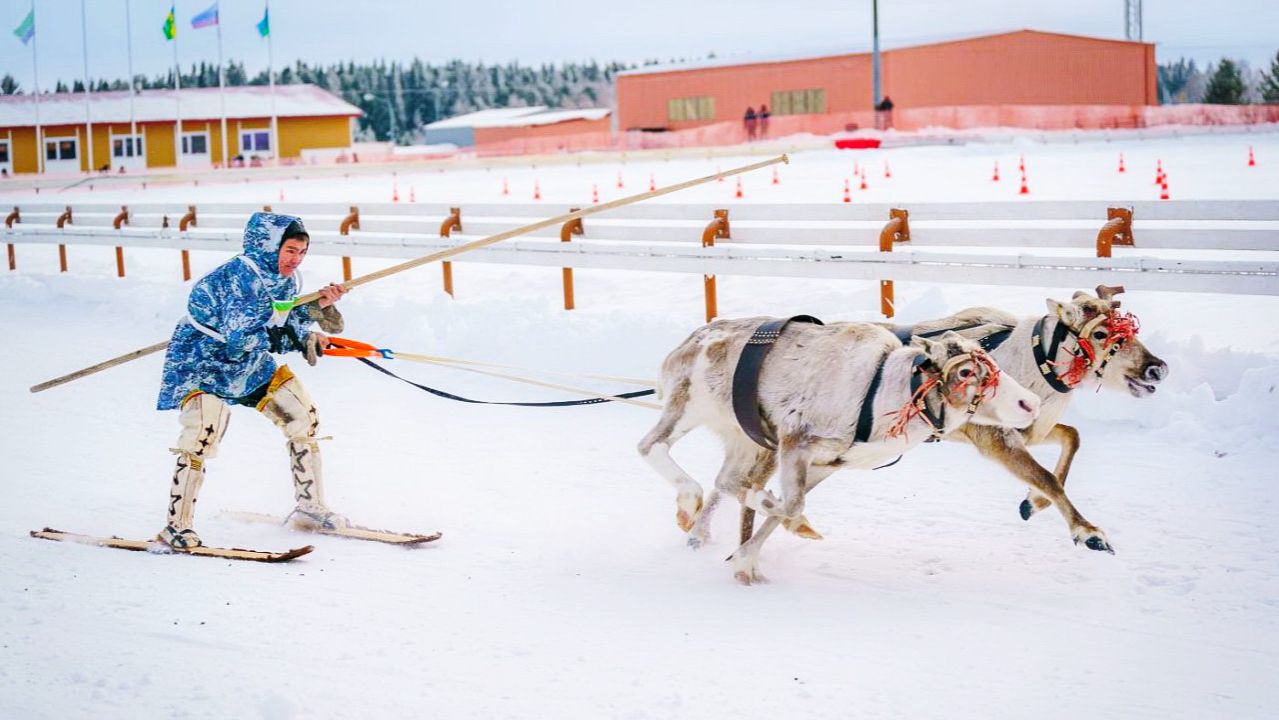 В Ханты-Мансийске состоится Конкурс профессионального мастерства среди оленеводов смотреть онлайн