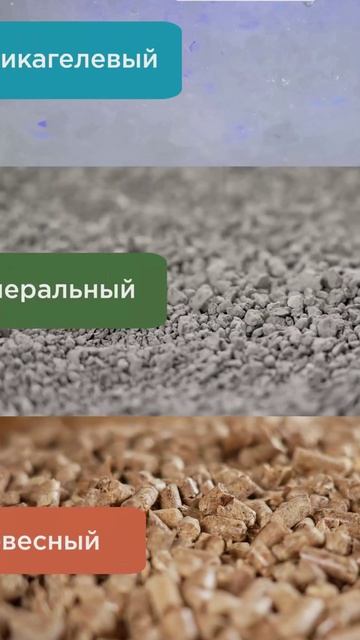 💩 Запаха — НОЛЬ. Как я это сделала_