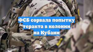 ФСБ сорвала попытку теракта в колонии на Кубани