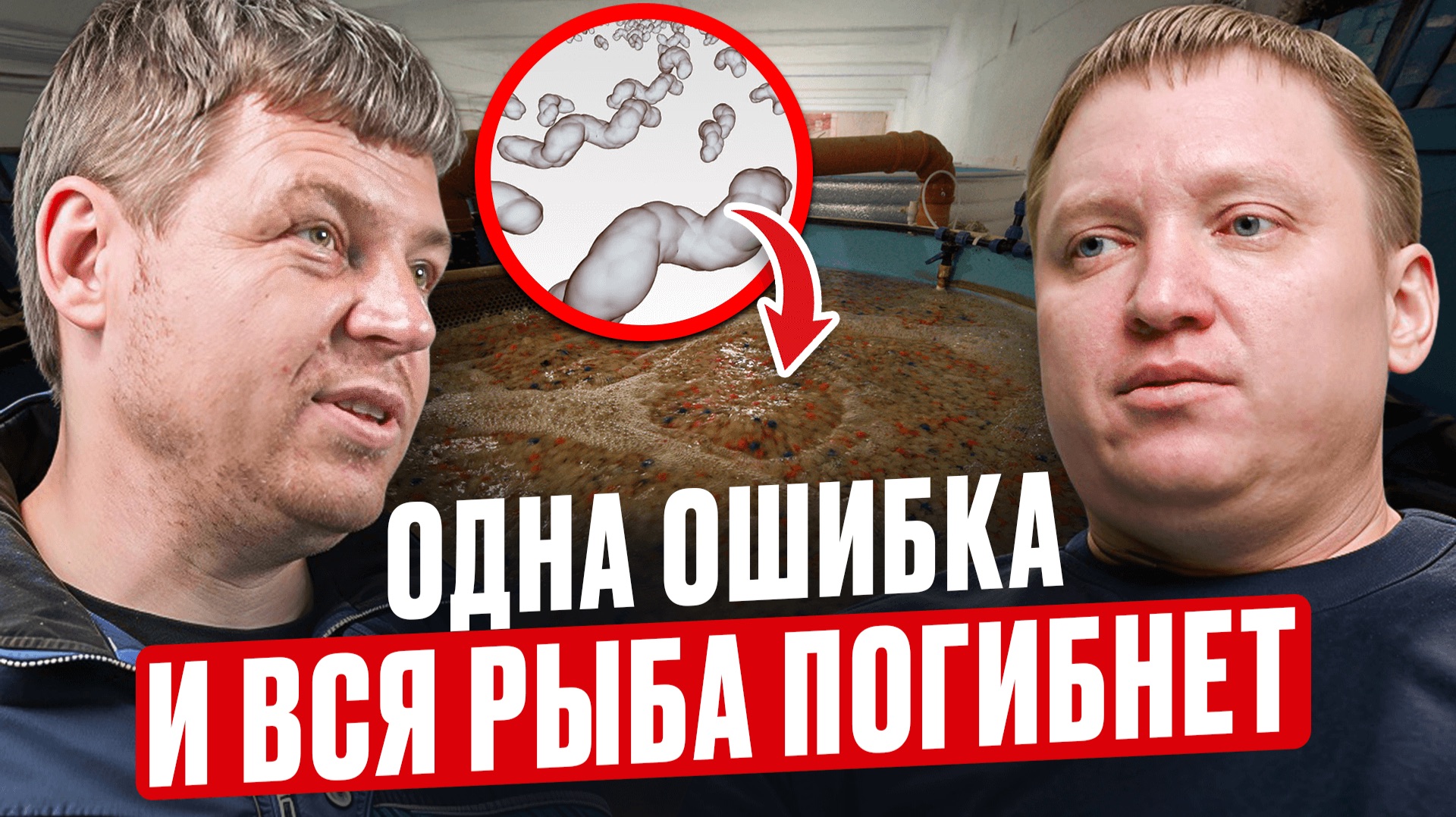 Вся правда про биофильтр в УЗВ / Как бактерии спасают МИЛЛИОНЫ РУБЛЕЙ на рыбных фермах? Вся правда про биофильтр в УЗВ / Как бактерии спасают МИЛЛИОНЫ РУБЛЕЙ на рыбных фермах?